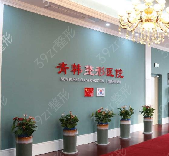 ��̨���꼪����ҽԺ��֤��ѯ