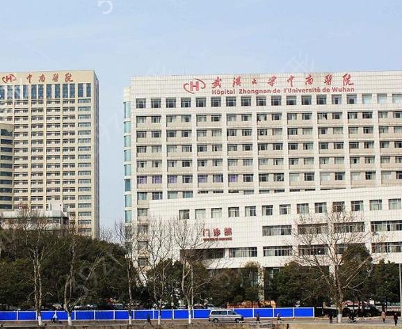 �人��Ƥ���������ļ�Ȩ��