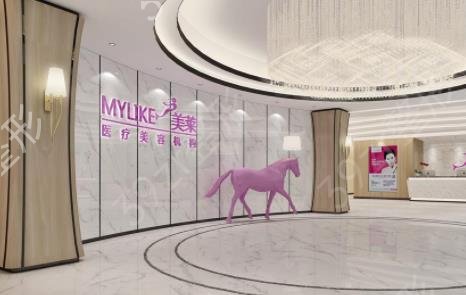 ������ֲ��ҽԺ˽��������һ��_���������ܣ���Ŀ����ϸ�嵥