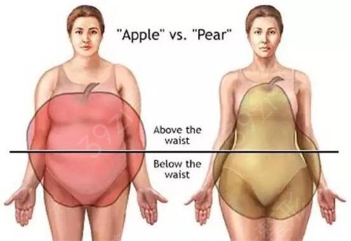 ��������֬�����غ�ҽԺ���ļ�