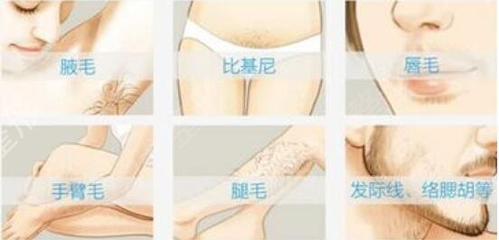 ������ҽԺ�������ݿ�������