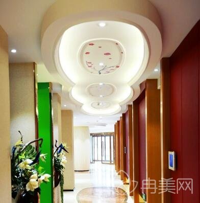 ��ɽ��������˫��Ƥ�����º�