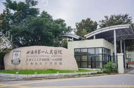 �Ϻ���������ҽԺǰʮȨ���������а����