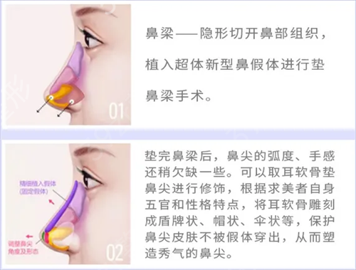 ���ݺ���������������¡��