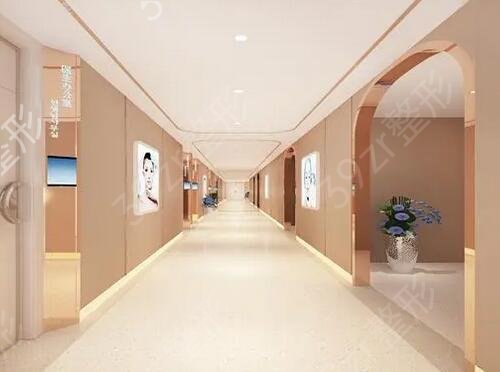 深圳口碑好的微整形医院排名