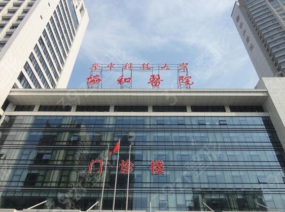 武汉隆鼻三甲整形医院排名