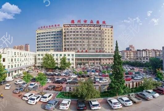 德州做吸脂整形医院排行榜