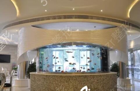 ������������ҽԺǰʮ