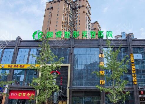 ��Ԫ��֬�����ļҺ�