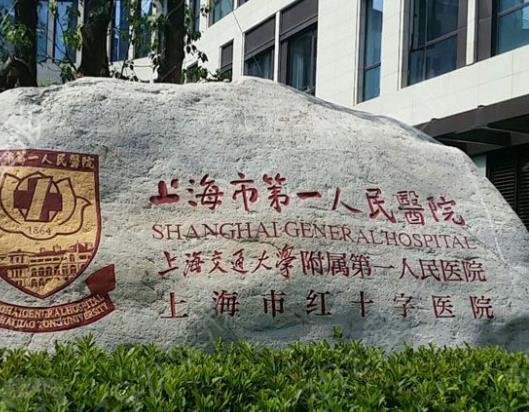 �Ϻ�˫��Ƥ���λ�������ǰʮtop�񵥹���