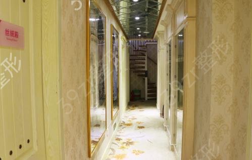 �����֬�ļҺ�