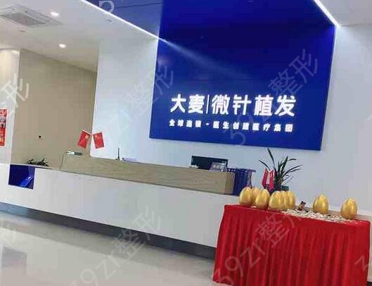 新生和大麦哪个植发好