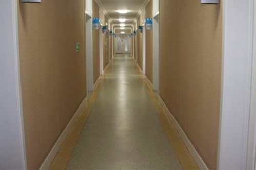 �����е�������ҽԺ���ο�