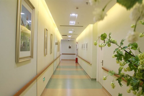 ����ϣ˼˫��Ƥ���ο�