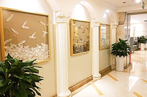 �ɶ�������������ҽԺ